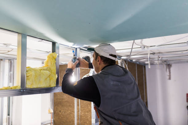 Best Commercial Insulation in Broadway, NC